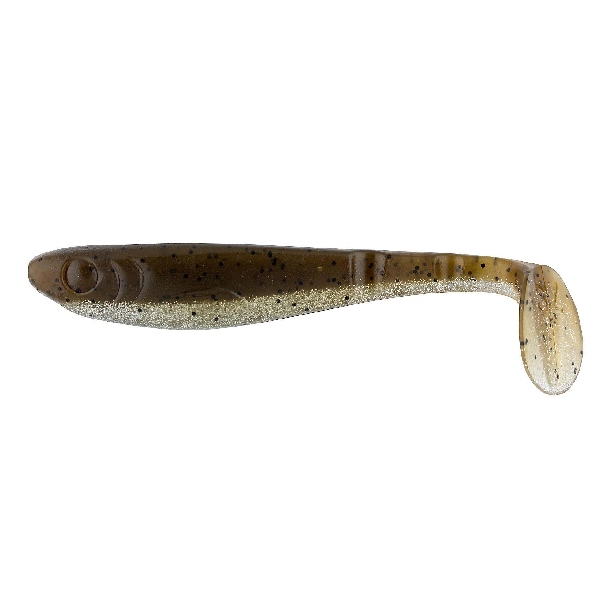 Baitfish