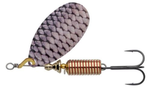 ROACH