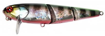 HL CHART STIGILL RED BELLY