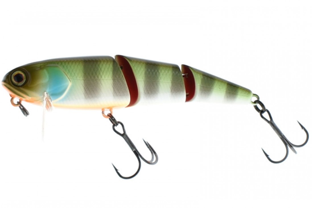 BLOODY ORANGE BELLY GREEN PERCH