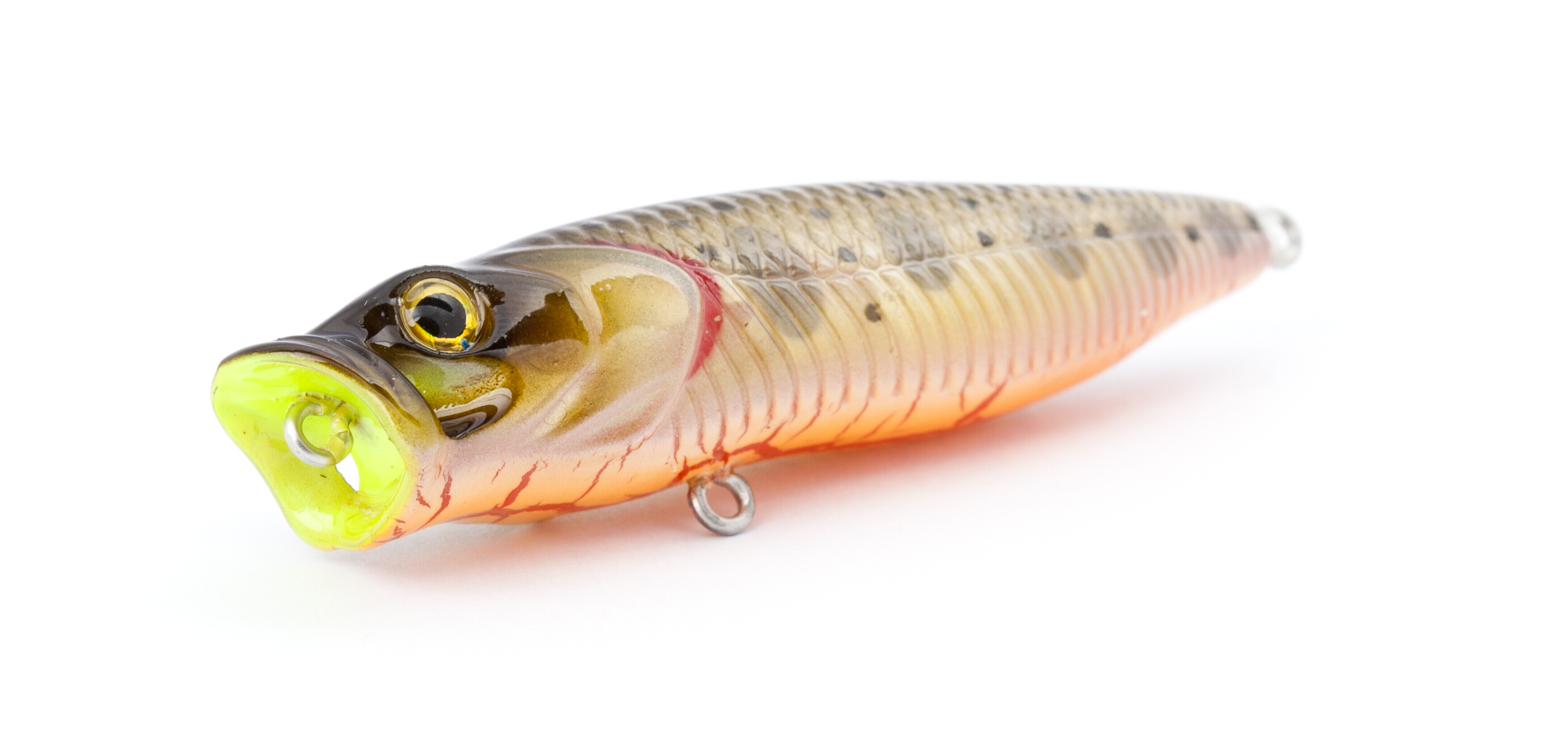 Trout