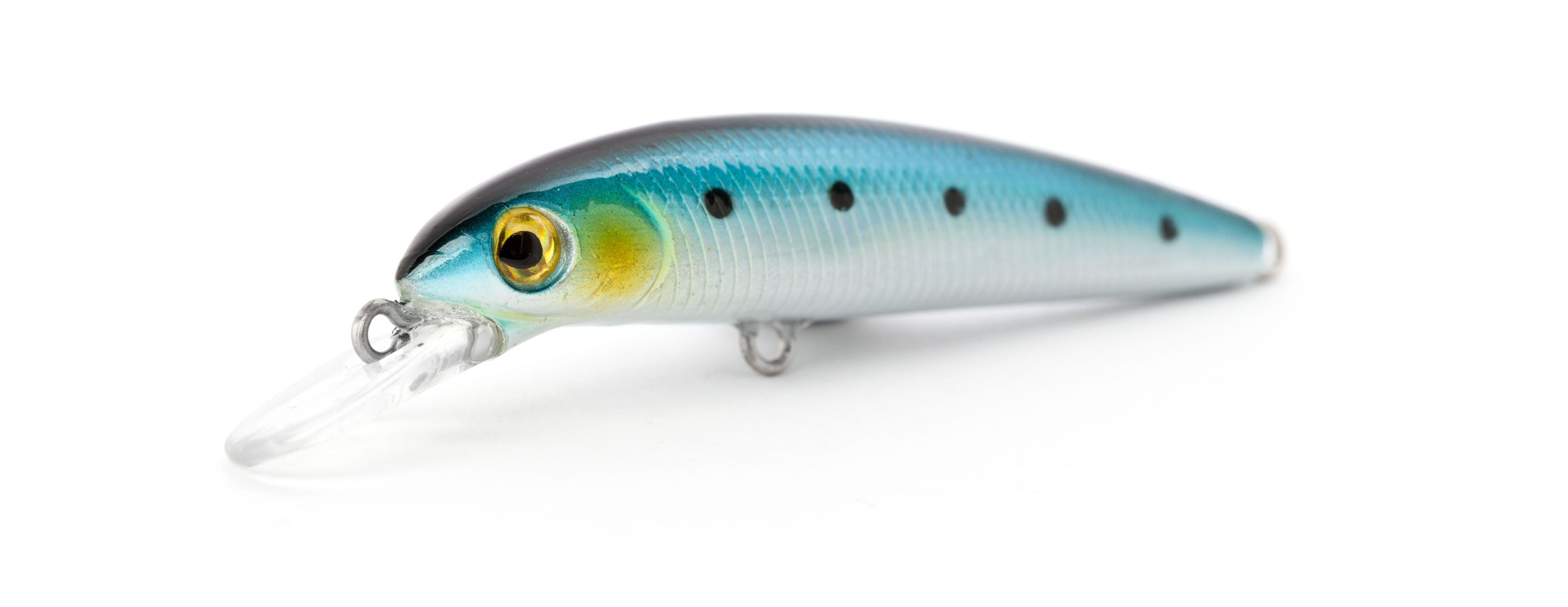Blue Fish