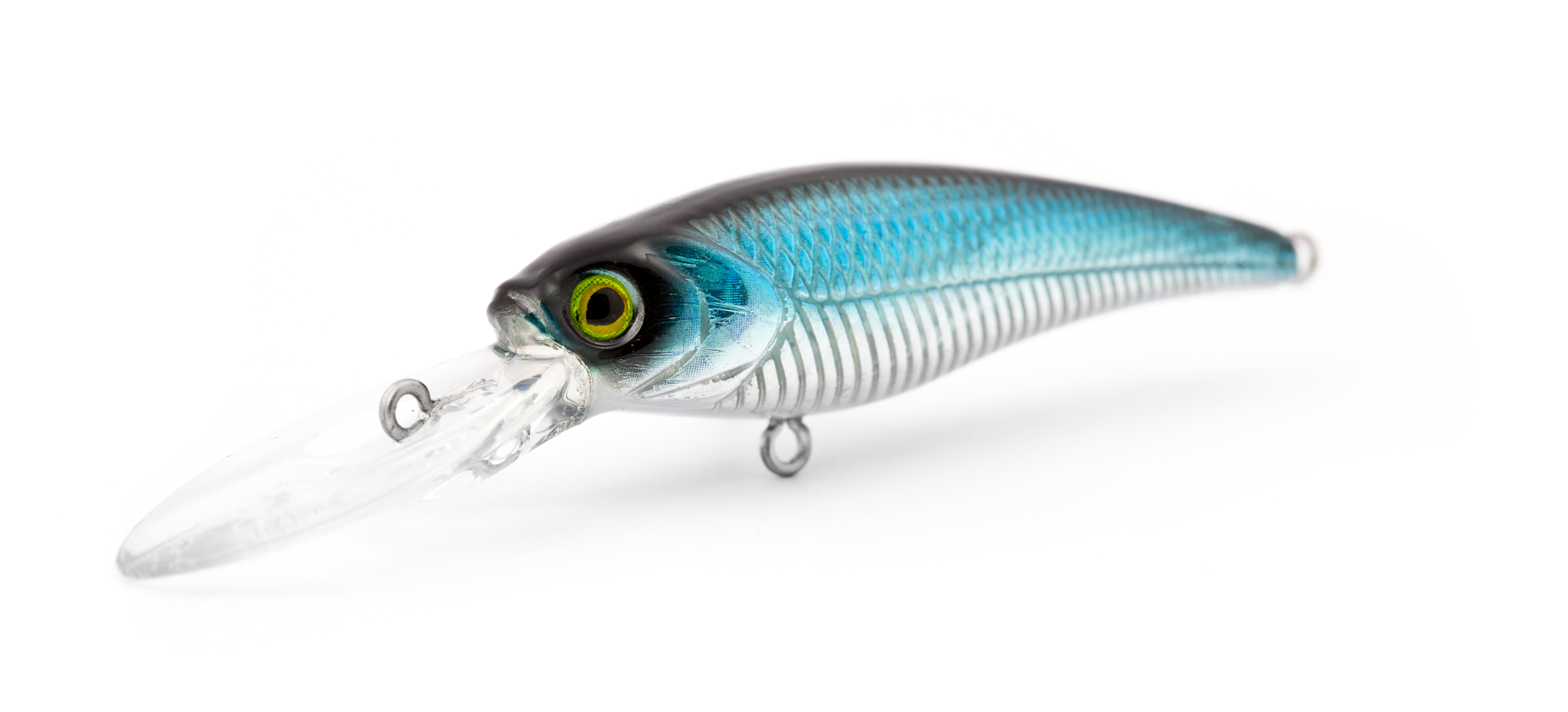Blue Shad