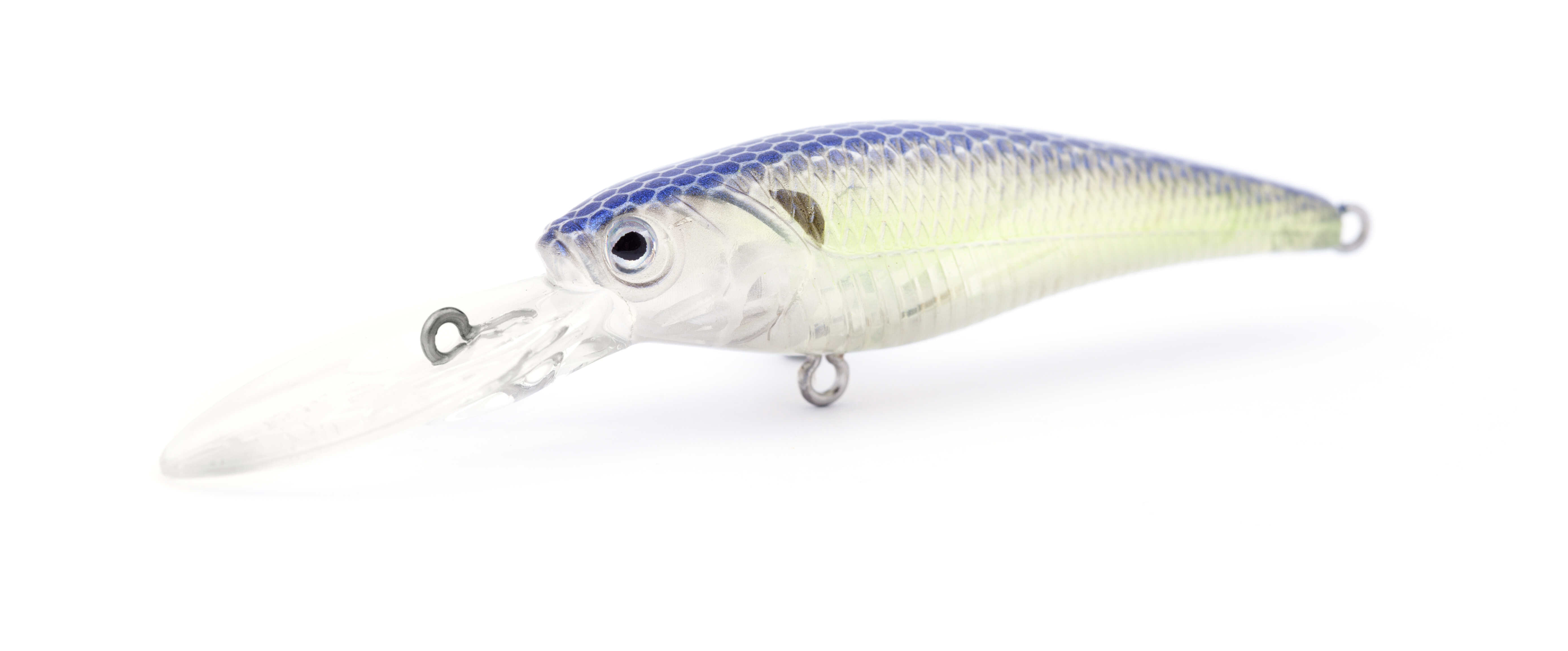 Clear Lime Shad
