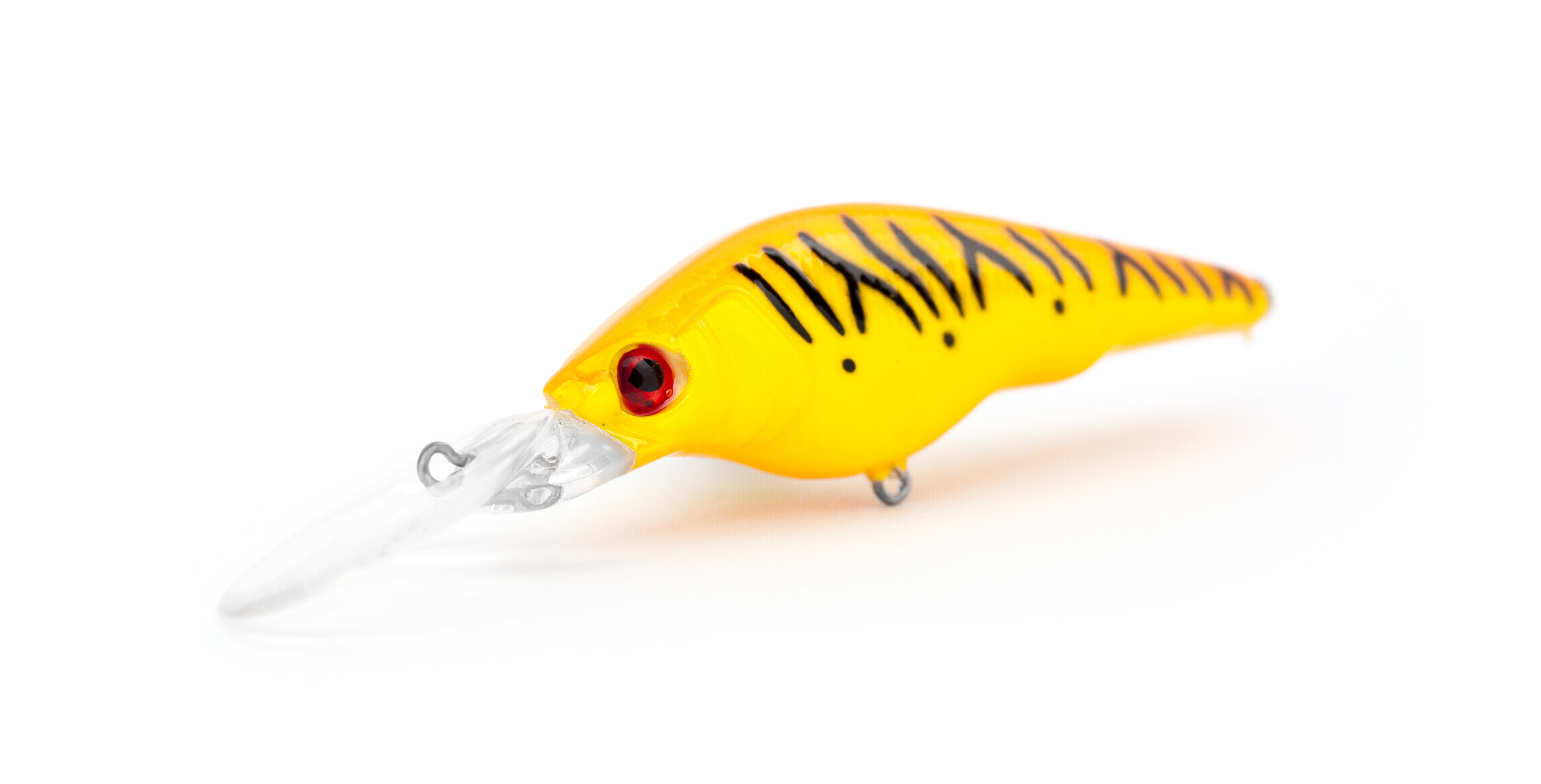Orange Tiger
