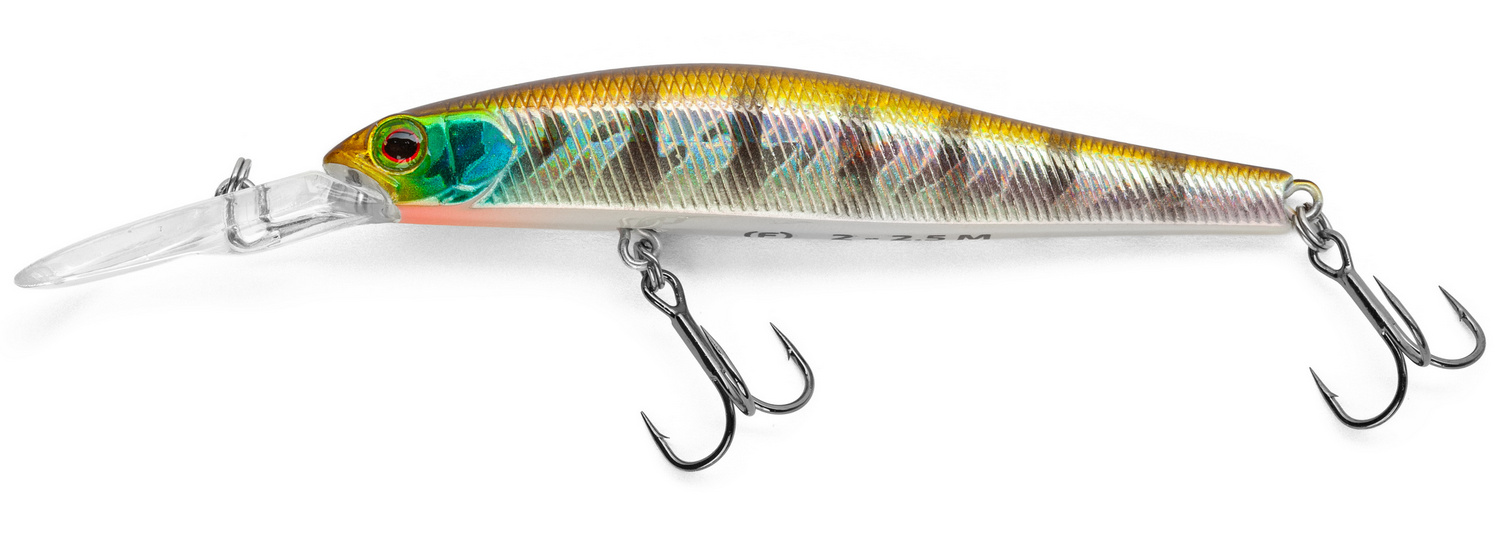 Golden Perch