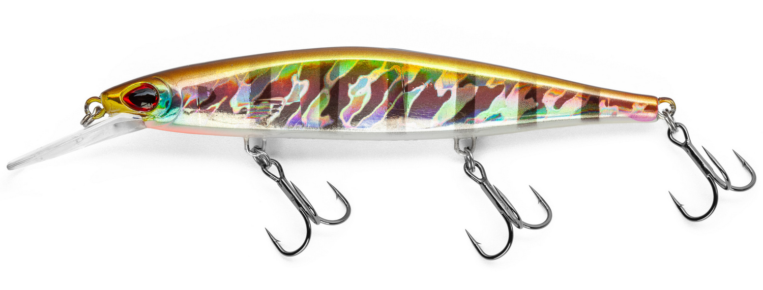 Golden Perch