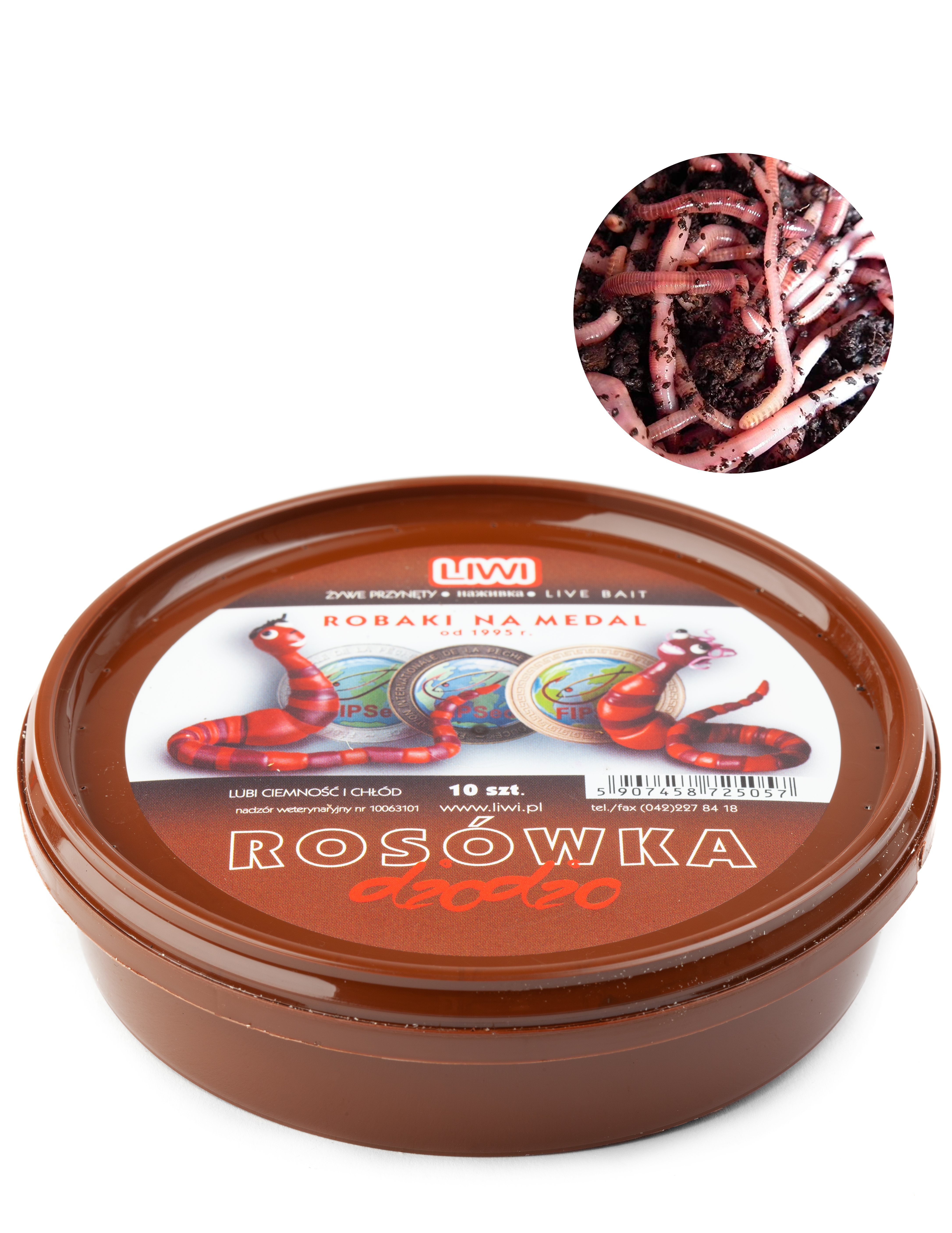 LIVE WORMS 10 PCS