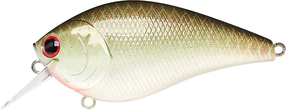 COOPER GREEN SHAD