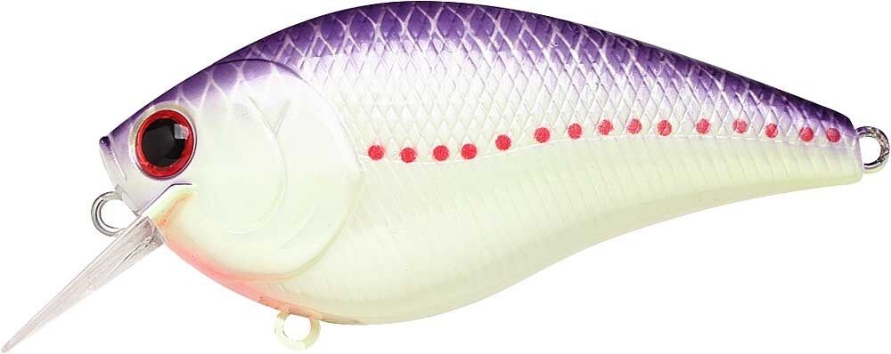 PURPLE PERCH