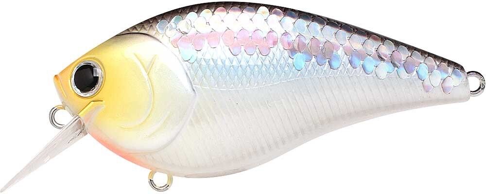 MS IMPULSE SHAD