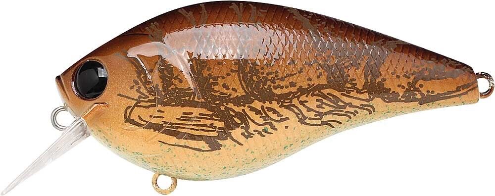 LIVE BROWN CRAW