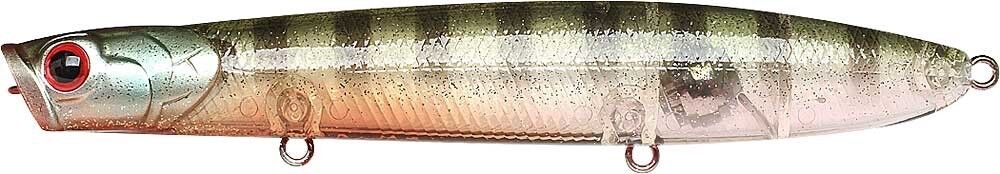 FLAKE FLAKE MALE GILL