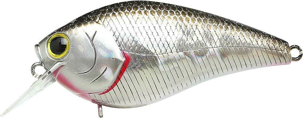BP GOLDEN SHINER