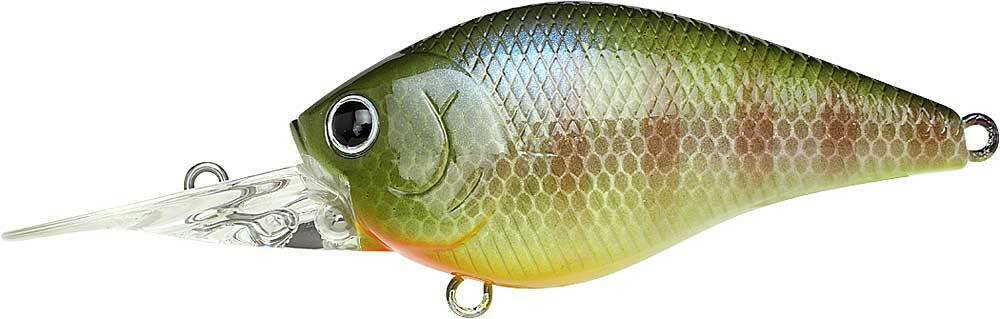 BE GILL
