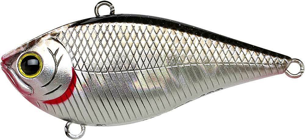 BP GOLDEN SHINER
