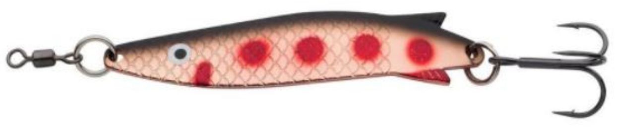 Trout