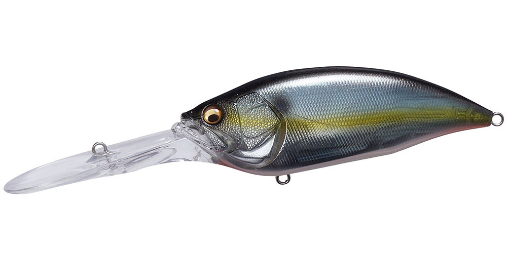 JUKUCHO SHAD