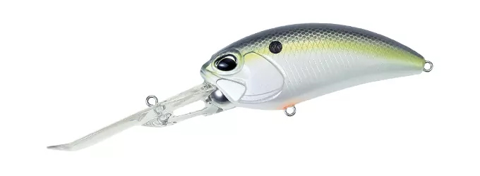 ACC3083
