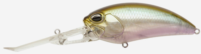 GEA3006