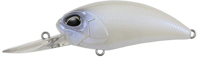 ACC3008