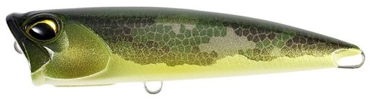 CCC3895