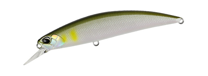 ANI4010