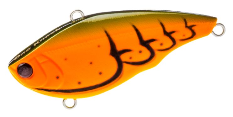 BOCF