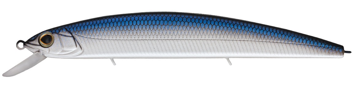 GCA01