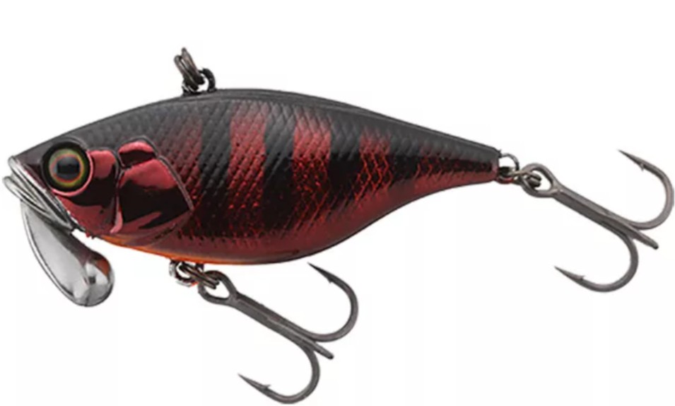 Pre Spawn Maroon Gill