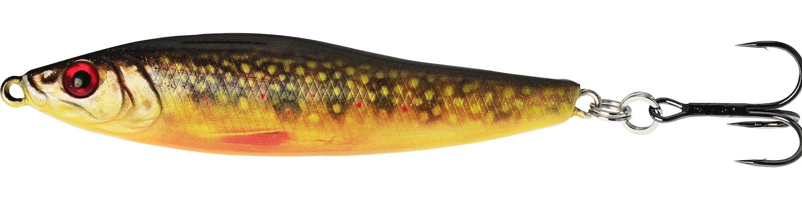BROOK TROUT FRY