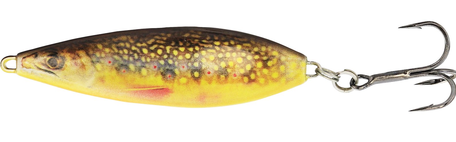 BROOK TROUT FRY