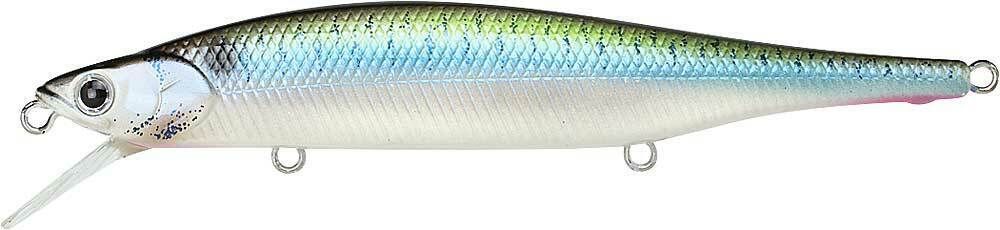 LIVE THREADFIN SHAD