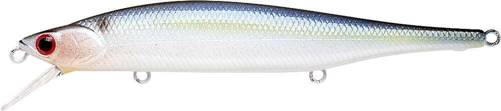 PEARL THREADFIN SHAD