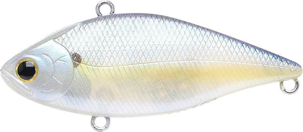 CHARTREUSE SHAD