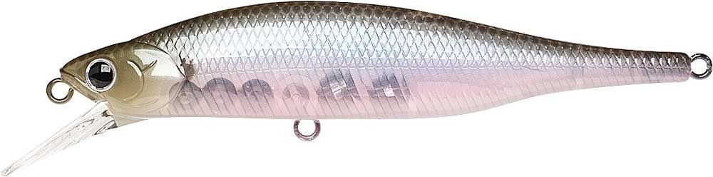 GHOST MINNOW
