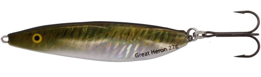 GREEN SARDINE