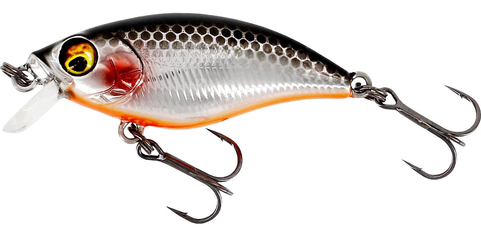 Steel Sardine