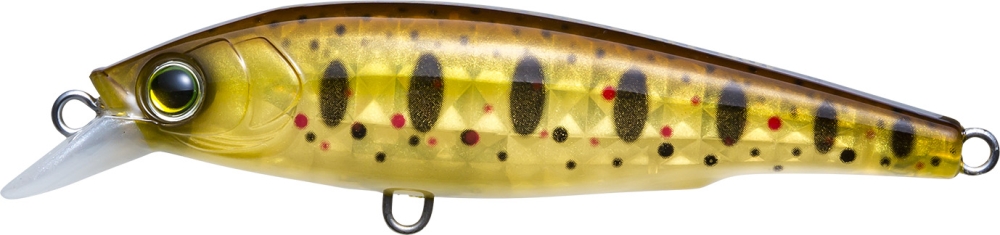 PLBT