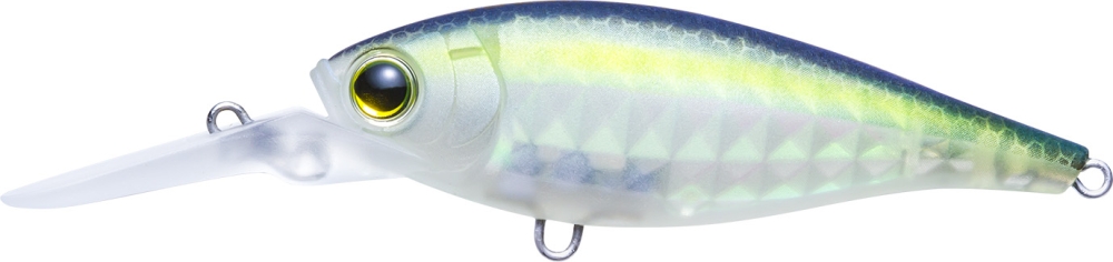 MGSS