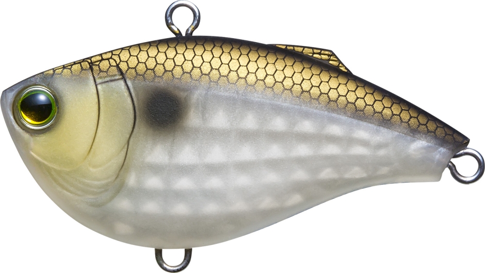 MGZS
