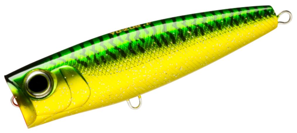 GM