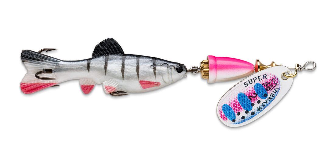 Rainbow Trout