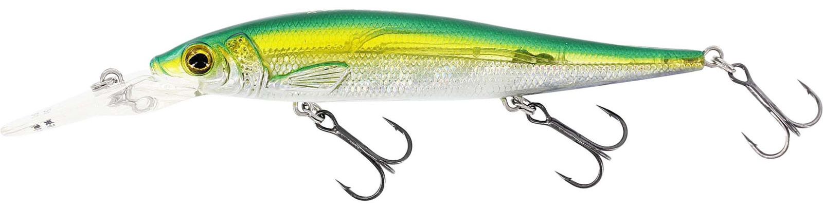 Olive Minnow