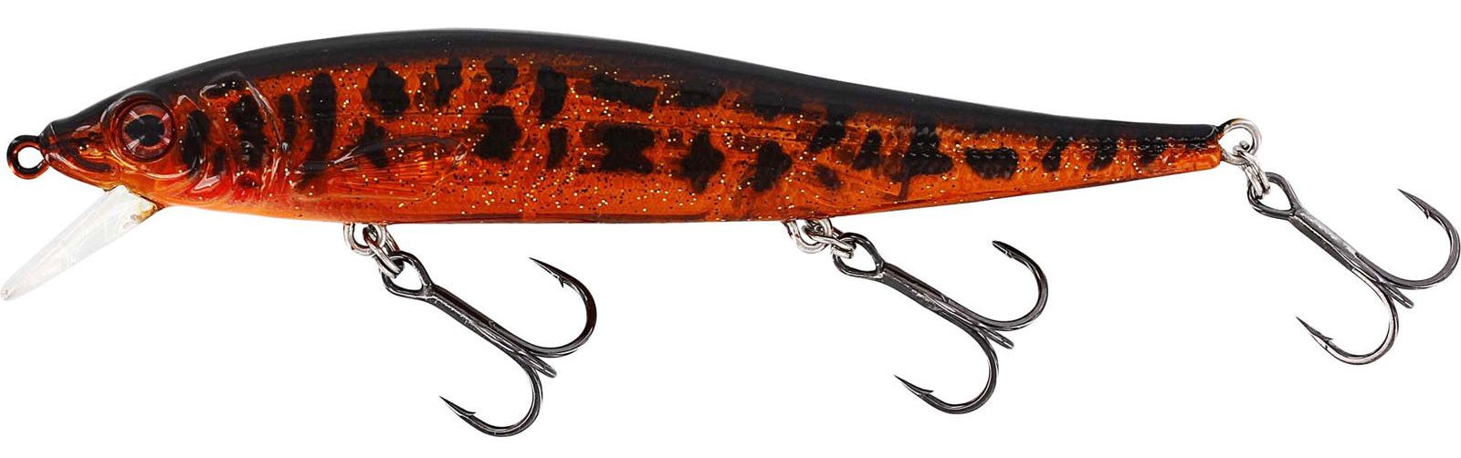 Motoroil Burbot