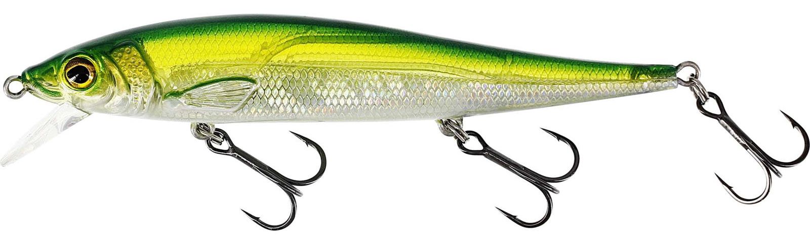 Olive Minnow